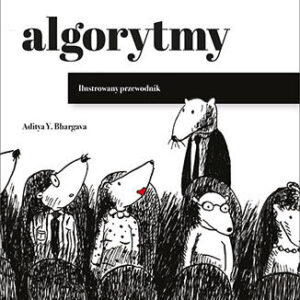 Algorytmy. Ilustrowany przewodnik